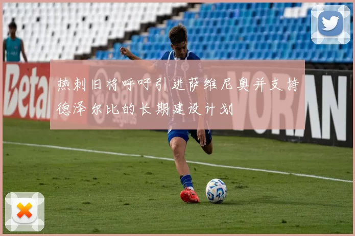 热刺旧将呼吁引进萨维尼奥并支持德泽尔比的长期建设计划