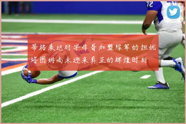 蒂格表达对字母哥加盟绿军的担忧塔图姆尚未迎来真正的辉煌时刻